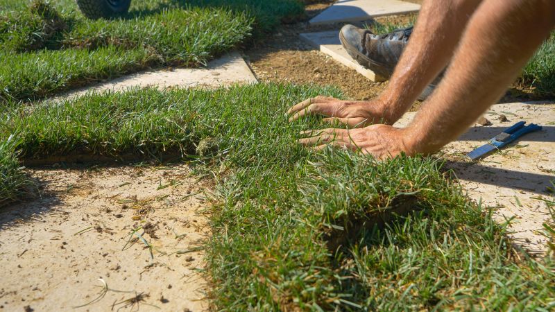 Bare Spot Repair in Honolulu, HI