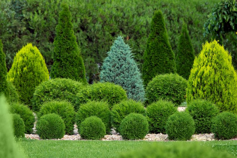 Bush Installation in Ventura County, CA