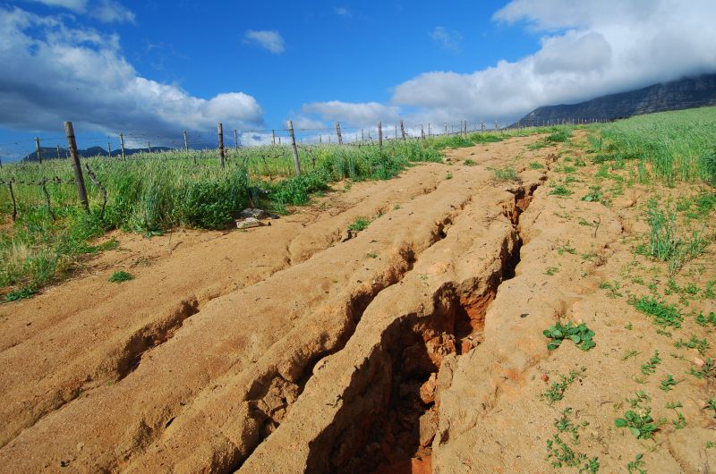 Erosion Matting Service in Honolulu, HI