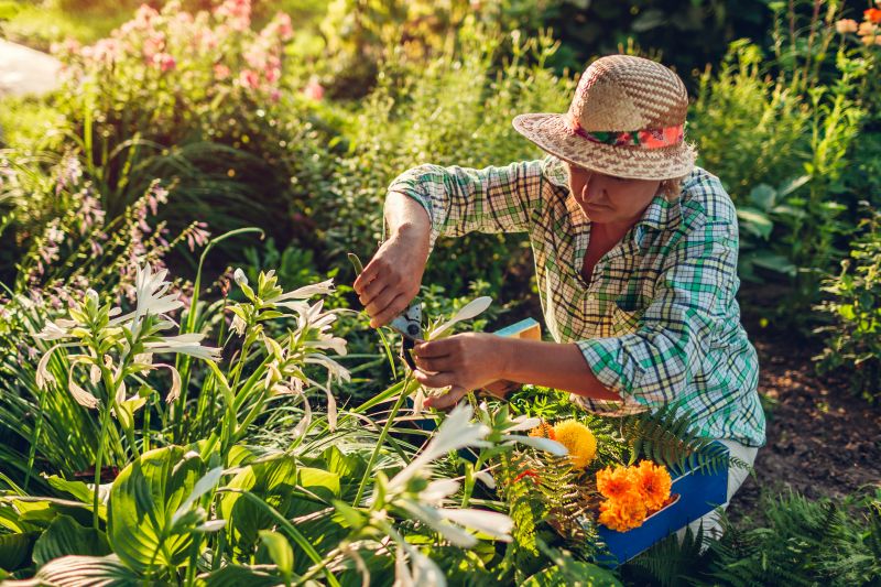 Garden Care Service in Honolulu, HI