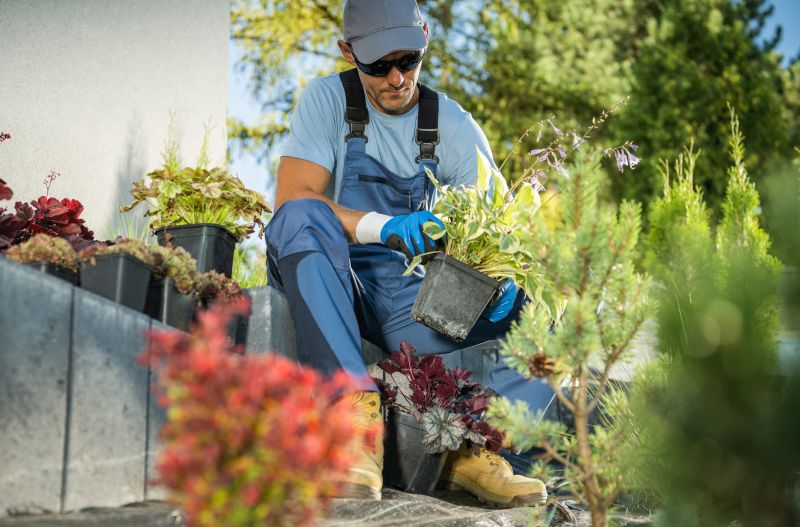 Garden Cleanup Service in Ventura County, CA