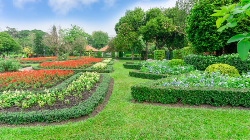 Hedge Landscaping in Ventura County, CA
