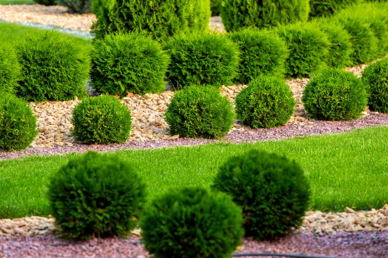 Landscape Planting Service in Ventura County, CA
