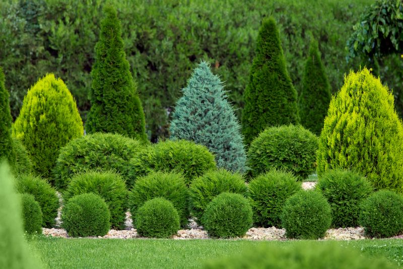 Privacy Shrub Installation in Ventura County, CA