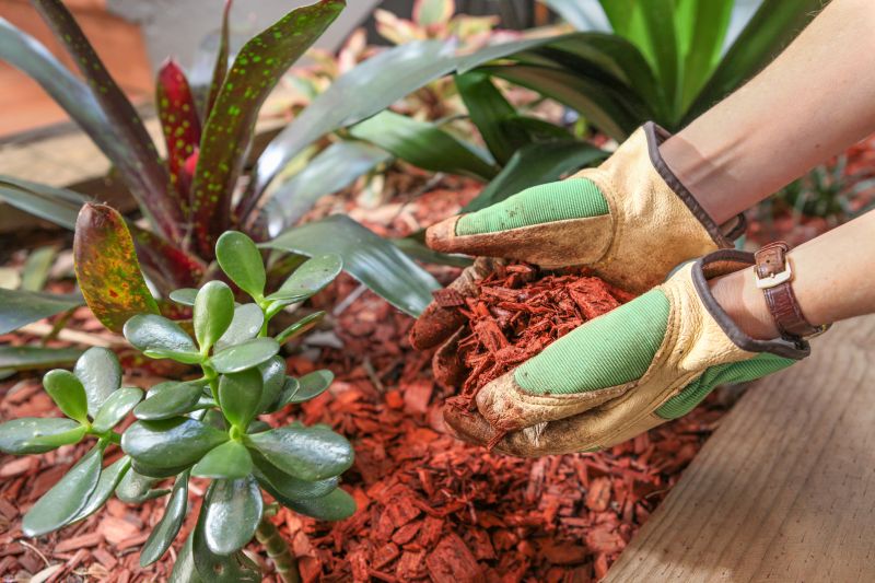 Shredded Mulch Installation in Honolulu, HI