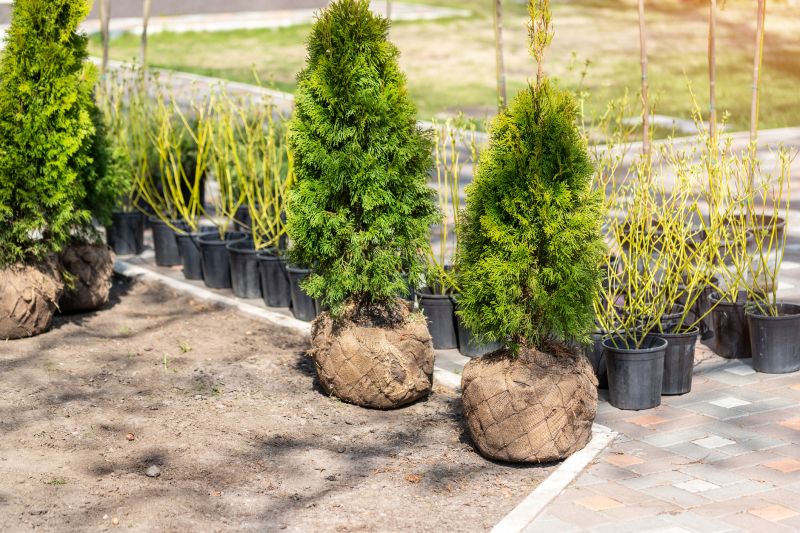 Shrub Planting Service in Ventura County, CA