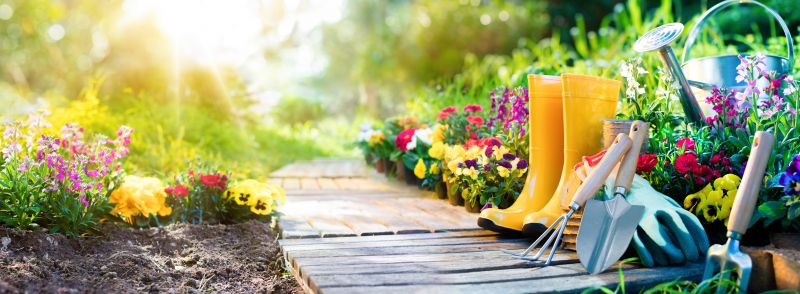 Small Garden Landscaping in Honolulu, HI