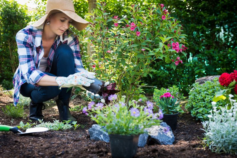 Spring Garden Maintenance in Honolulu, HI