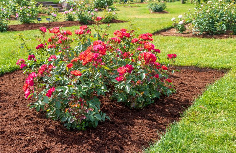 Flower Bed Maintenance in Honolulu, HI